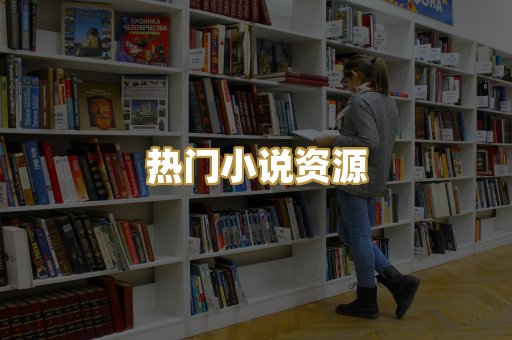 热门小说资源
